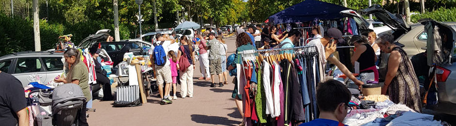 Freesia Carboot Sale June 2024