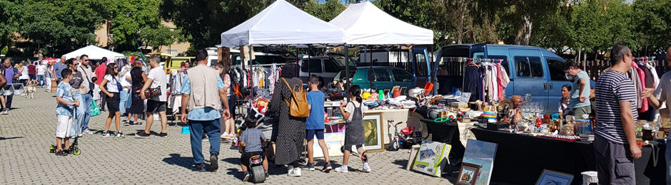 Freesia Carboot Salou November 2024