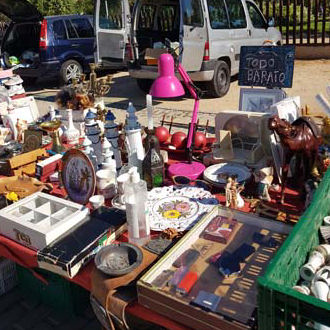 freesia carboot sale november 2024