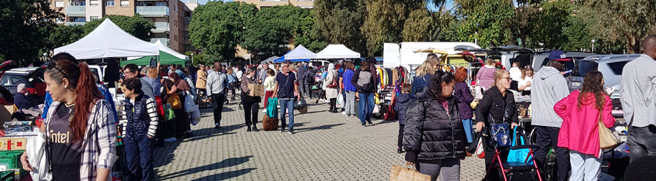 freesia carboot february 2025